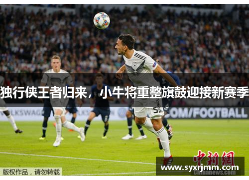 独行侠王者归来，小牛将重整旗鼓迎接新赛季